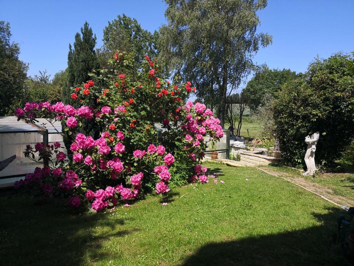 Au Jardin Fleuri Bed & Breakfast Secondigny Екстериор снимка